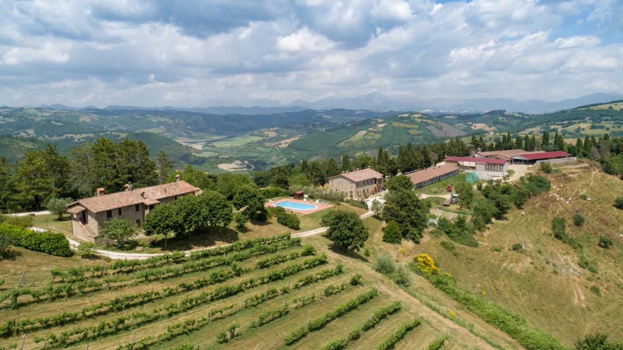 Agriturismo Tenuta Di Biscina Exterior photo